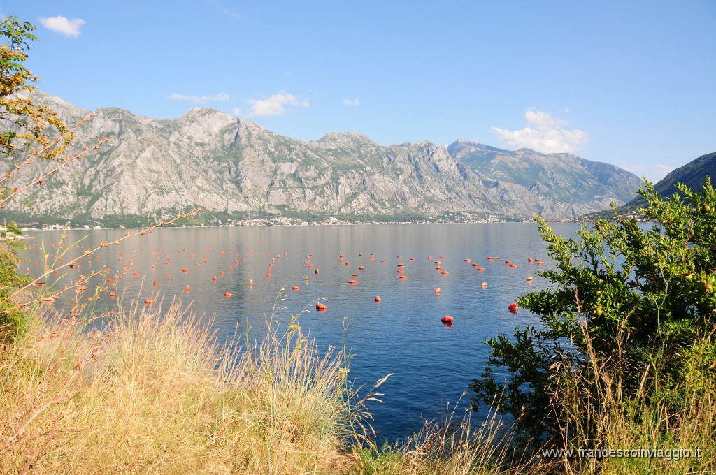 Lungo la baia Kotor247DSC_2893.JPG